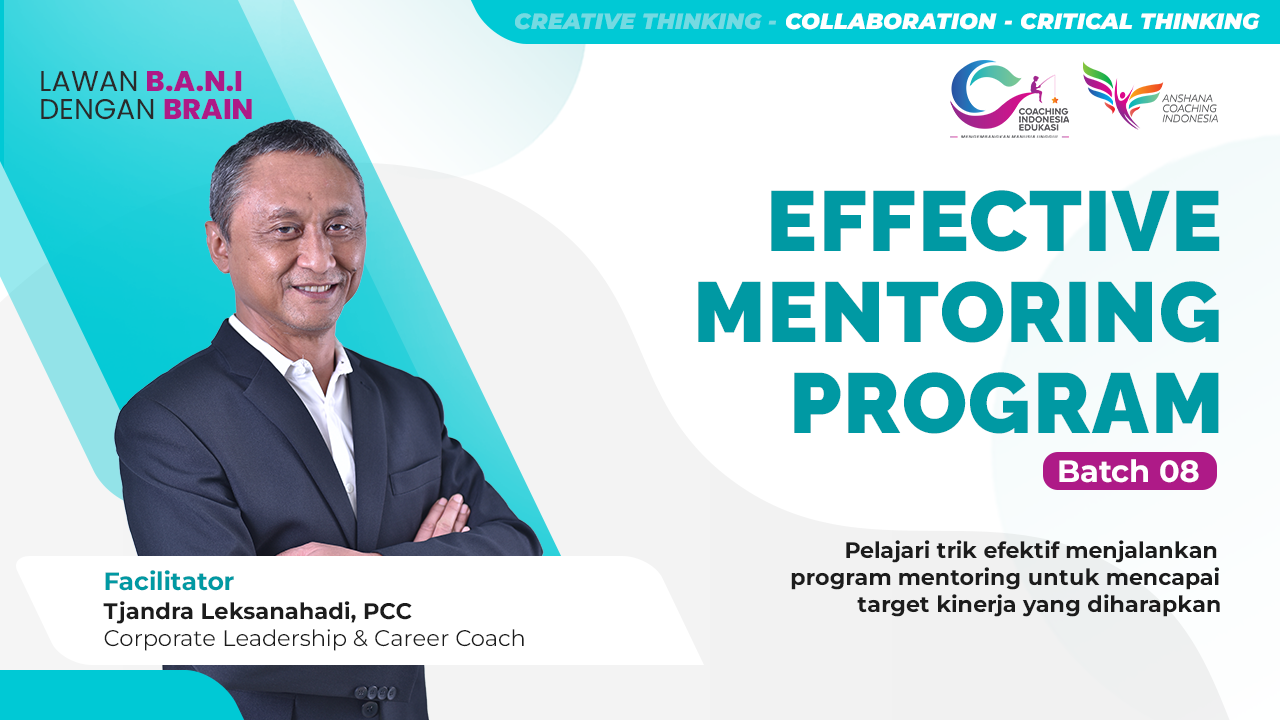 Effective Mentoring Program 08
